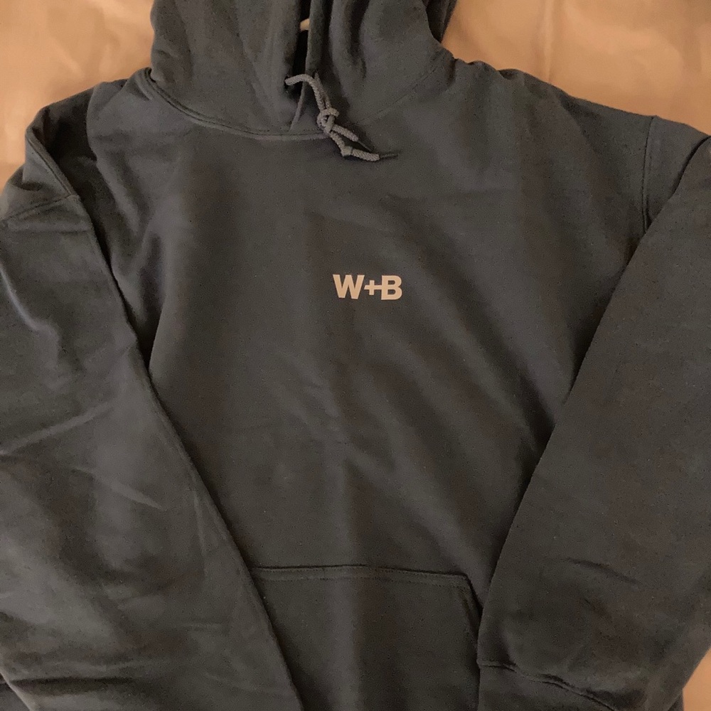 Wolf bear collective hoodie